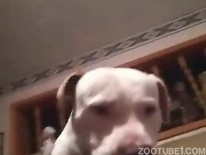 Mommy and family dog