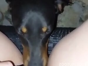Pussy Loving Doggie