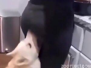 Dog eats girl ass