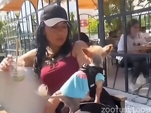 Dog wishes