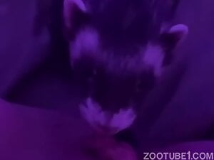 Weasel lick