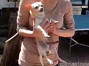 Proud Pup