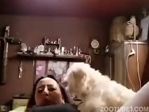 BBW Mature and Poodle