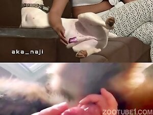 My wife give a Handjob to dog