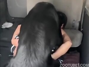 Car Dogfuck