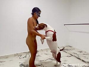 Dancing With Dog