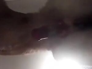 Dripping Cumming Dog Cock