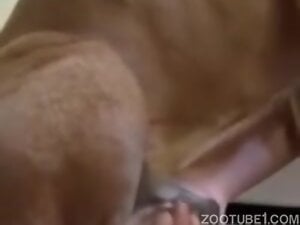 Woman Masturbating Dog And Getting Nice Licks