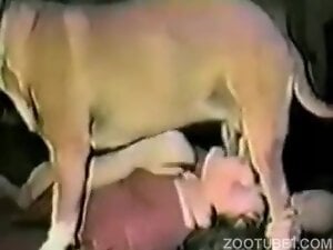 Vintage dog Blowing