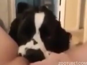 Salty Clit for smart puppy