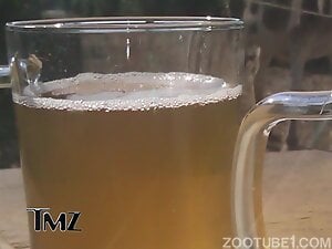 The Donkey Semen Challenge-People Reactions
