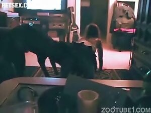 Doggy love in Living Room