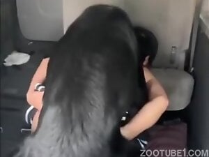 Black dog got teen meat in the car