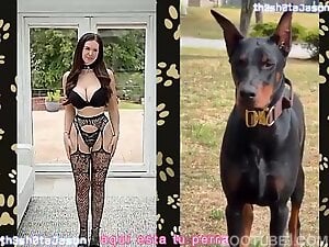Erodog