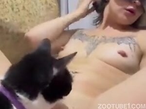 My Pussy and Pussycat