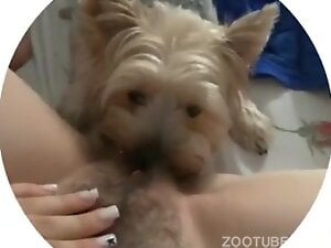 Dog Mona