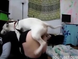 Fat ass dog fucked