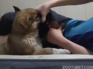 Screenrecording_01-25-2026_02-42-02_1.mp4