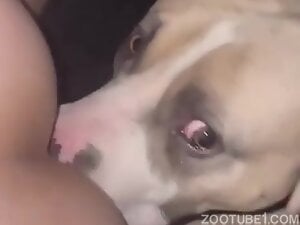 Doggie definetly wants to join family fucking