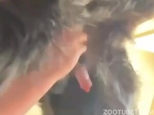 Mature zoolover recording
