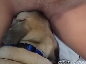 Wife and Pug
