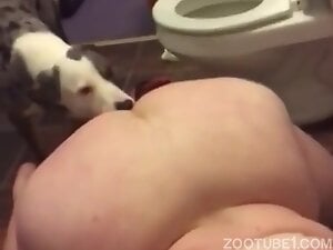 Fat ass wife open for dog in bathroom