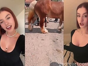 ZooTikTok2025-3