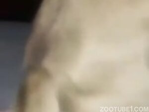 Me And My Favorite Dog