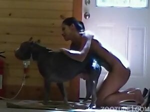 Girlfriend with dog playing and stroking