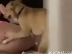 Caught dogscrewed