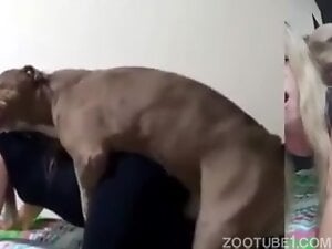 Blonde Gets Mounted