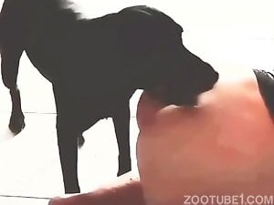 Black pup with wife