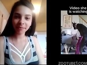 HotReactions: Stripy 2