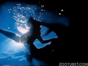 Ocean, Dolphin and Woman