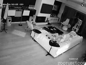 Teen got caught on security camera