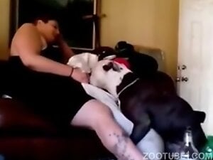 Dog really want to fuck mommy