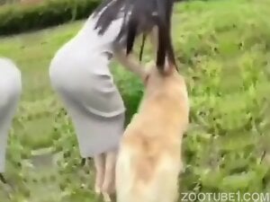 Korean Girl Love To Try Dog Sex