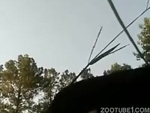 Girl Getting Railed In The Woods 2