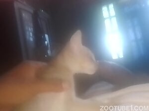 Guy and Cat by lambbad