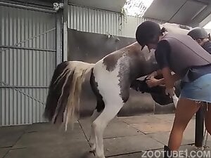 Stable Job