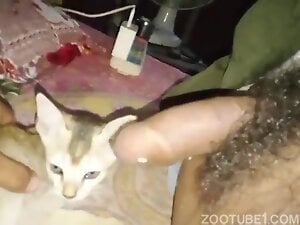 lambbad - man and cat