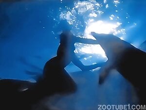 L'arbre sous la mer - Dolphine Scene