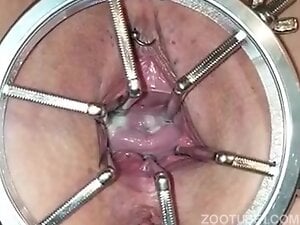 Pussy Spread with Tool and Worms Inside