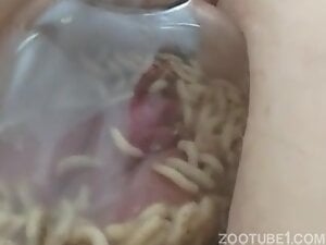 Pussy maggots