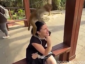 Little Monkey - Ashamed Girl