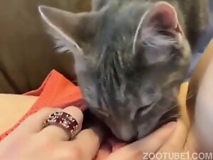 Pussycat love cunt juices