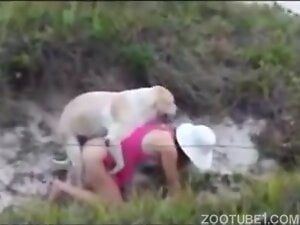 Casal Zoo in Rio - Outdoors Dogsex