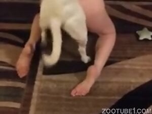 Skinny Old Slut got Dogsex 1