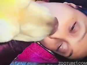 Happy Dog Kisses 1