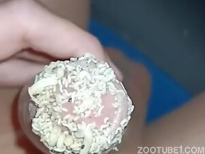 Penis Tip and Maggots 2